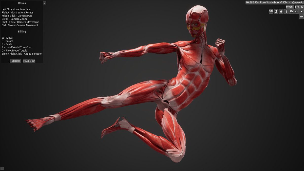 haele3d's tweet photo. Flying taekwondo kick pose. 
#muscle #anatomy #drawing #PoseStudy 
飛び後ろ回し蹴りポーズ。
#筋肉 #解剖学 #デッサン #ポーズ研究 https://t.co/8Ec9ft6Pcm