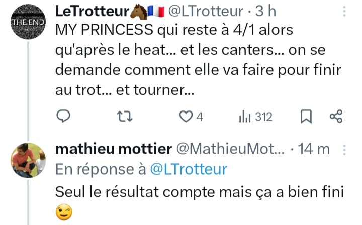 LeTrotteur🐴🇨🇵 tweet media