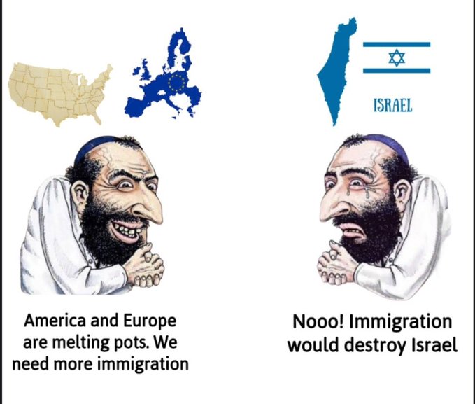 hansiweisskopf's tweet image. 