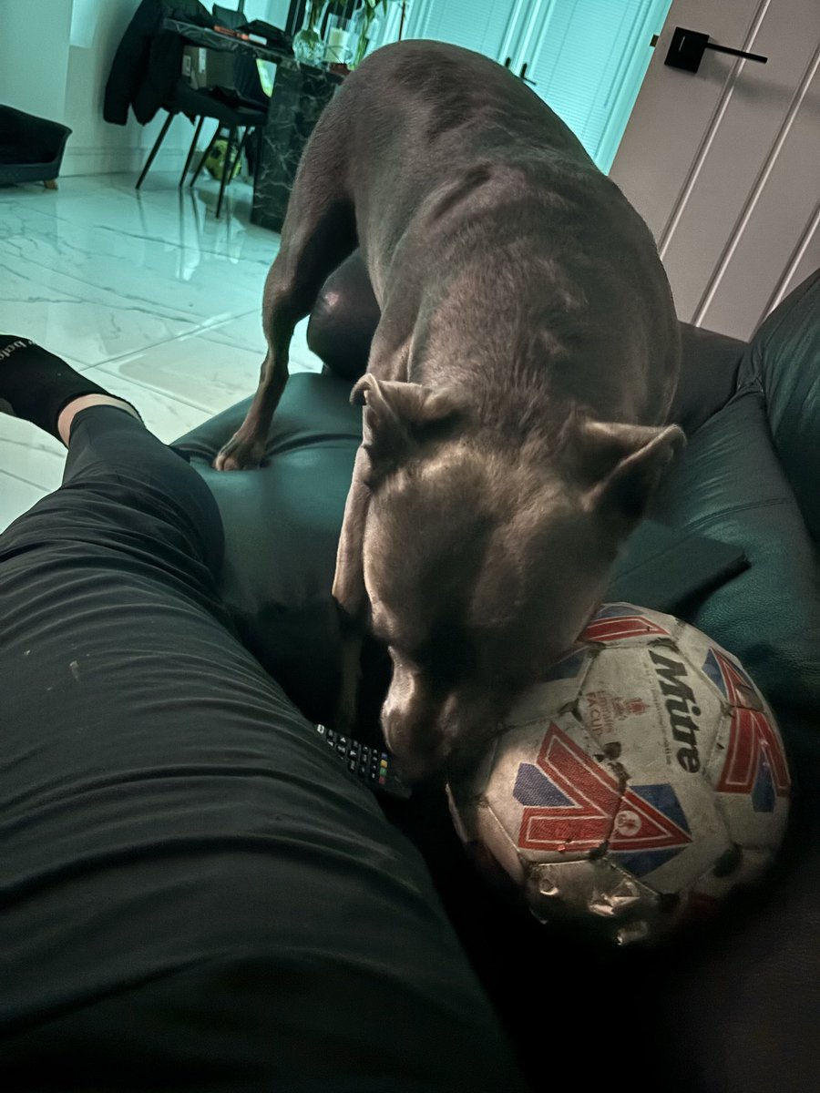 jaymc9's tweet image. Wouldn’t be @lowerbreck  game  if he did t get a ball