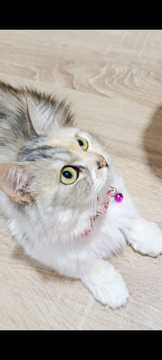 الغلا كله 💕