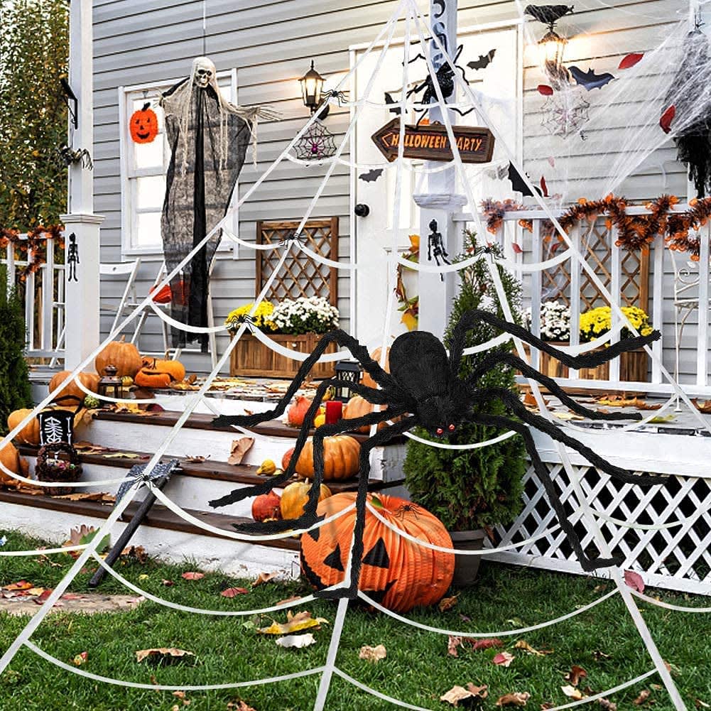 GorgeousAndWild's tweet photo. "This is my favourite season! We love decorating our home and filling it with spookiness, I'm sure @EthanTheWolfDC is getting annoyed with my vision for our home. There is alot more to do babe! Grab your tools." 🎃🎃🎃🎃🎃 https://t.co/PaxyeZgNUt