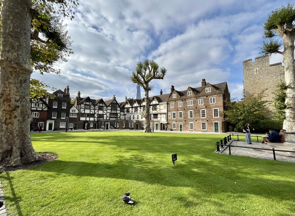 Amy Savage tweet media