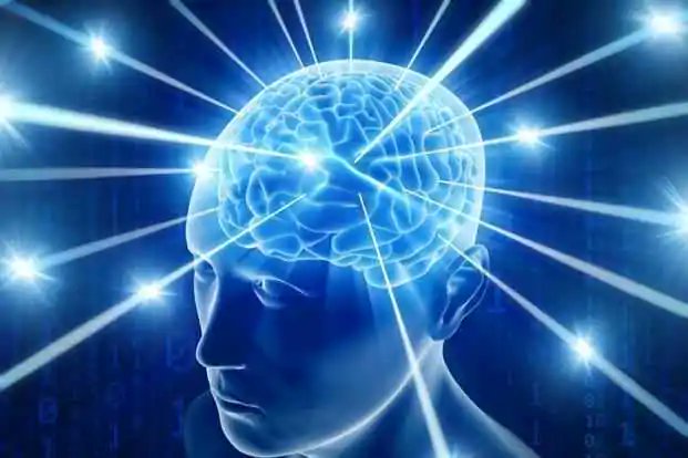 warriorthearmor's tweet image. Beyniniz bir gecede değişmez. Baskı altında tekrarladığınız tekrarlarda değişir. Doğru şeyi yaptığınız bir gün, yeni bir devreyi ateşlemek için yeterlidir. Yarın tekrar yaparsanız, devre güçlenir. İşte nöroplastisite budur. Kimlik böyle yeniden yapılandırılır.