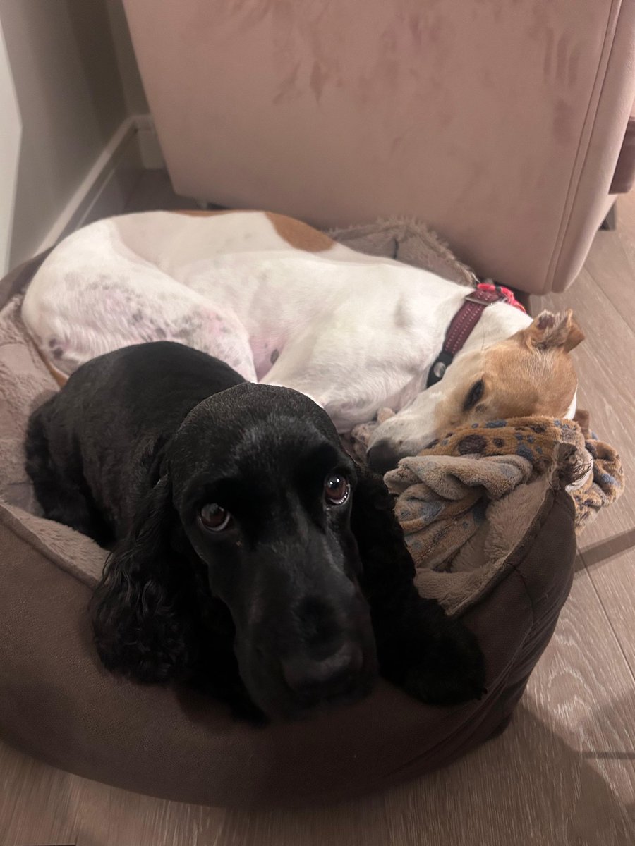 She’s in my bed 😬😠