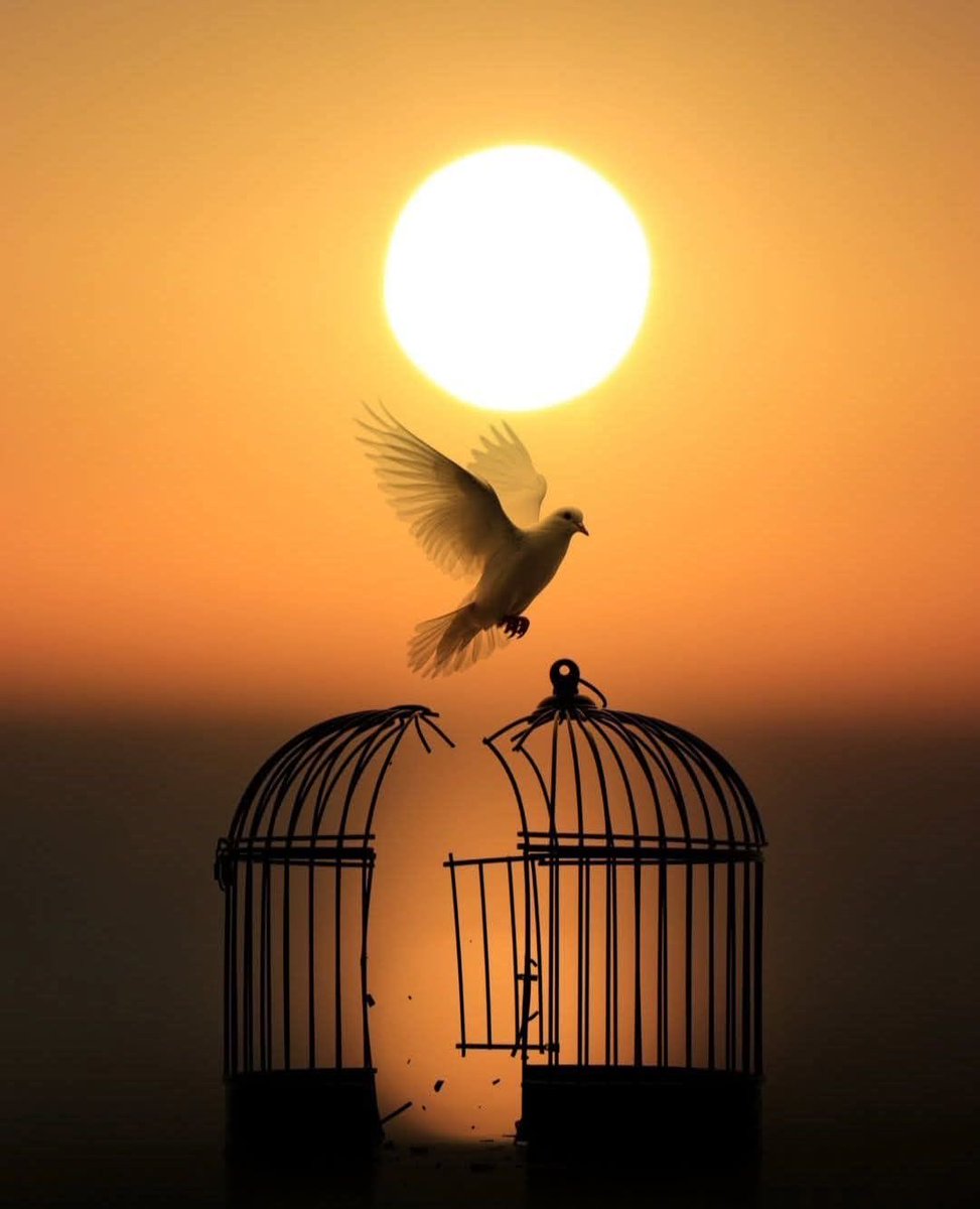 🅐 🤍🕊️…

••

و إنى لراضى بالقضـاء و بما تشاء 
وعنـدى يقيـن أن لطفـگ شـاملى 🙏🏻

#أستغفروا