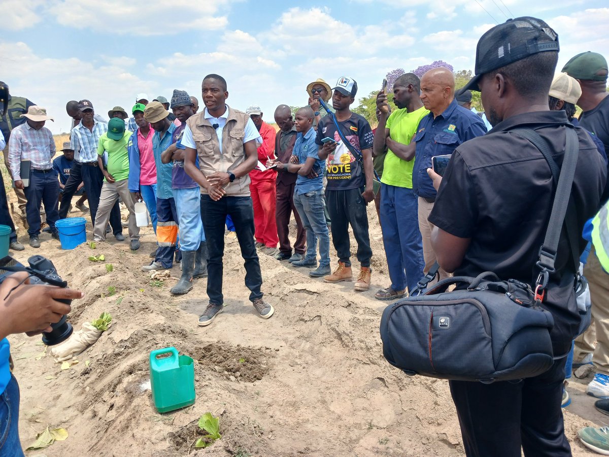 Forward Makasi-Snr. Agronomist🇿🇼 tweet media