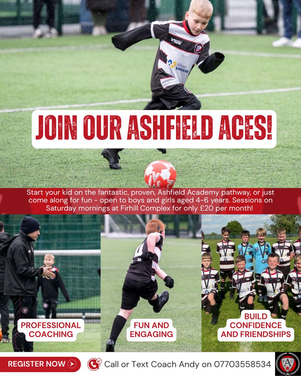 David Chalmers tweet media