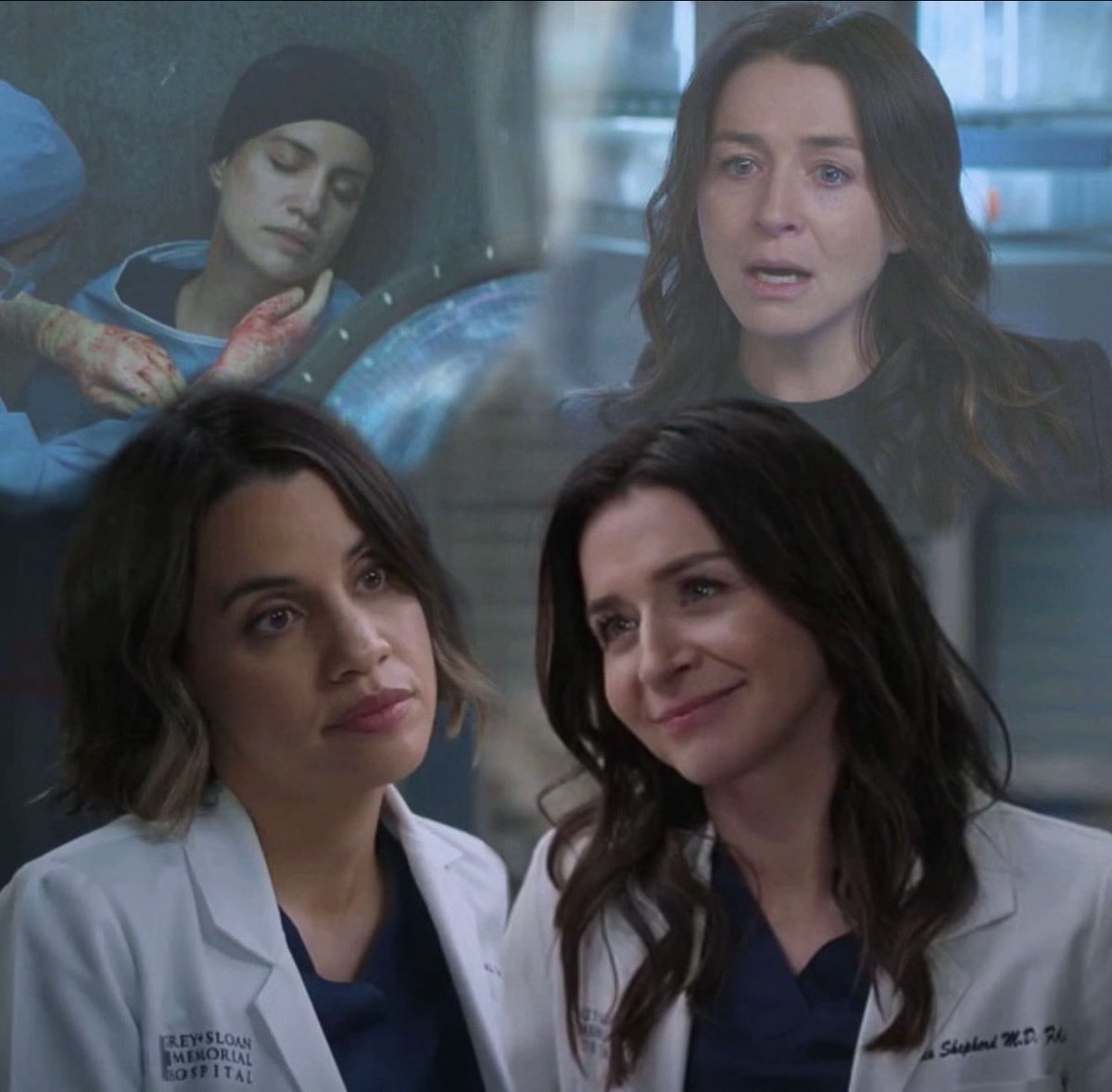 Forever Team Monmelia ❤️ Amelia Shepherd and Monica Beltran in another Life ❤️
 the best love story in years
#GreysAnatomy #Monmelia