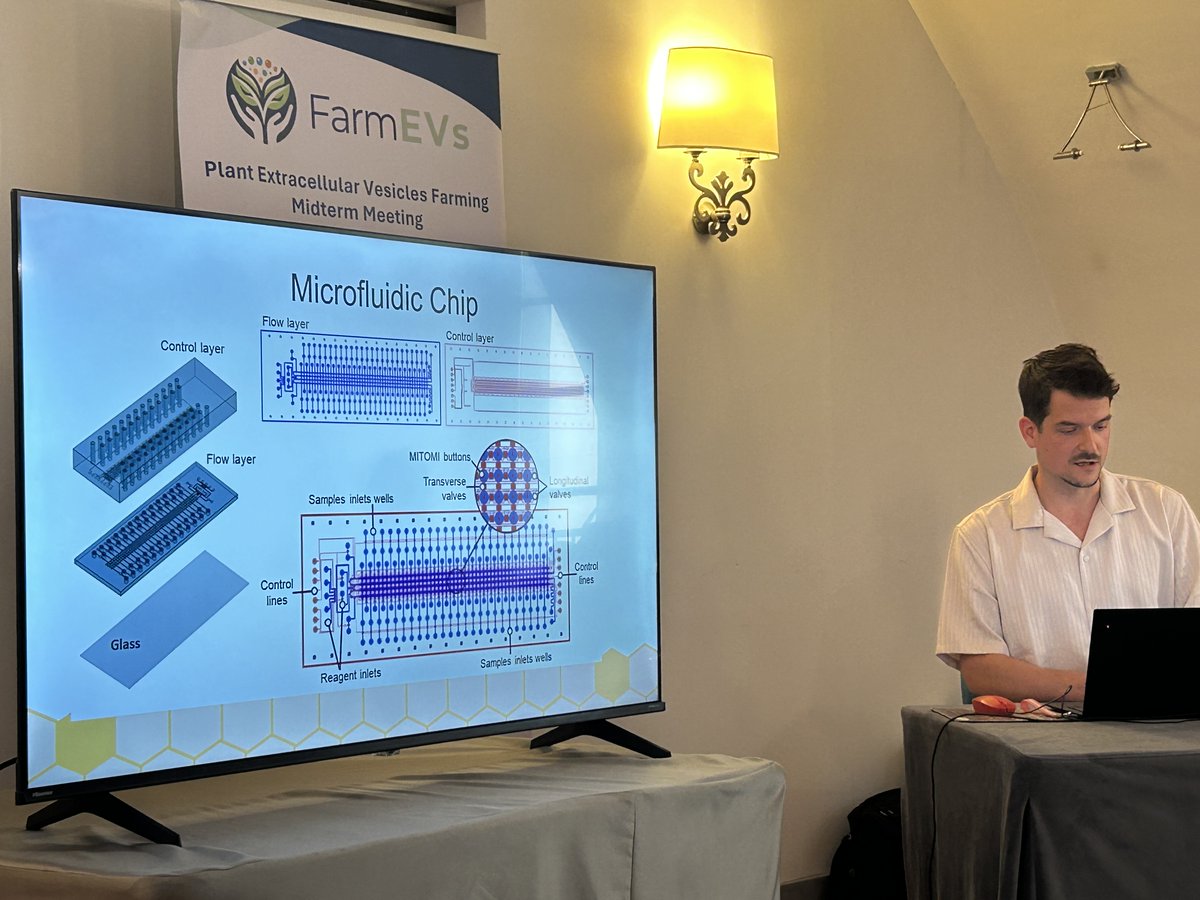 FarmEVs's tweet photo. #FarmEVs midterm meeting saw many excellent scientific presentations from partner institutions. Here Mitja Drab from #LjubljanaUNI presenting microfluid chip research work from secondment time @cinvestav #extracellularvesicles https://t.co/vfddBmHpIp