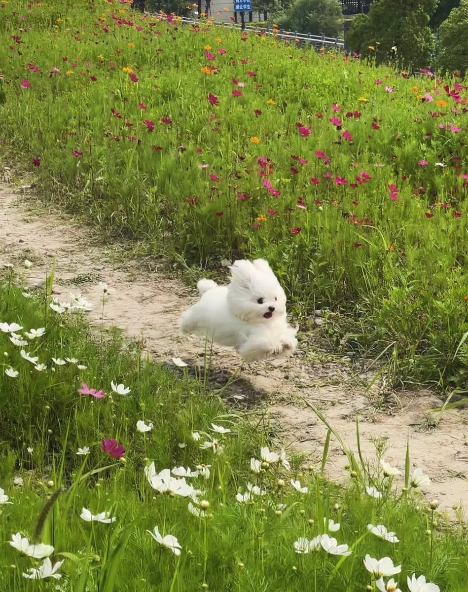 twperritos's tweet image. 