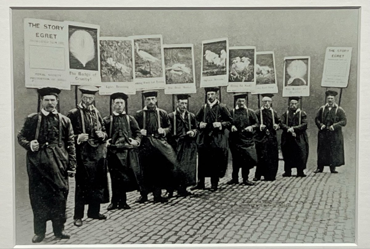 ChrisGPackham's tweet image. Very much enjoyed the hugely inspiring #Resistance exhibition at @NatGalleriesSco Modern 2 . A photographic catalogue of the brave defenders of justice , peace and basic animal and human rights . Found this pic of @Natures_Voice protesters . Those were the days . . .