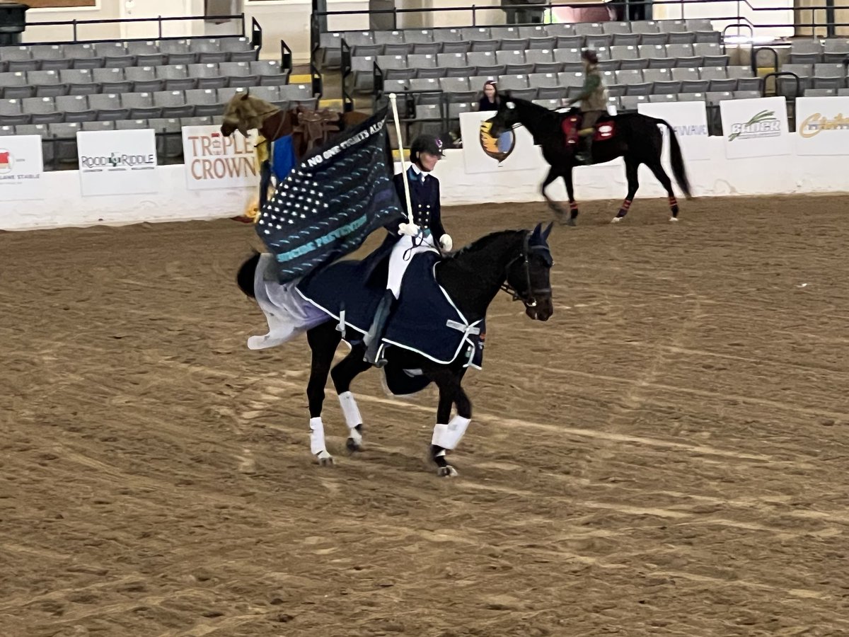 Joe Nevills (@joe_nevills) on Twitter photo It’s incredible how moving a freestyle routine can be at <a href="/RRP_TBMakeover/">Retired Racehorse Project</a>. When Jacquelyn Dickey & Bandon left the ring, the only thing you could hear in the arena were sniffles. The right horse won the competition.
Why? Read the full story here: paulickreport.com/horse-care-cat… It’s incredible how moving a freestyle routine can be at <a href="/RRP_TBMakeover/">Retired Racehorse Project</a>. When Jacquelyn Dickey & Bandon left the ring, the only thing you could hear in the arena were sniffles. The right horse won the competition.
Why? Read the full story here: paulickreport.com/horse-care-cat…