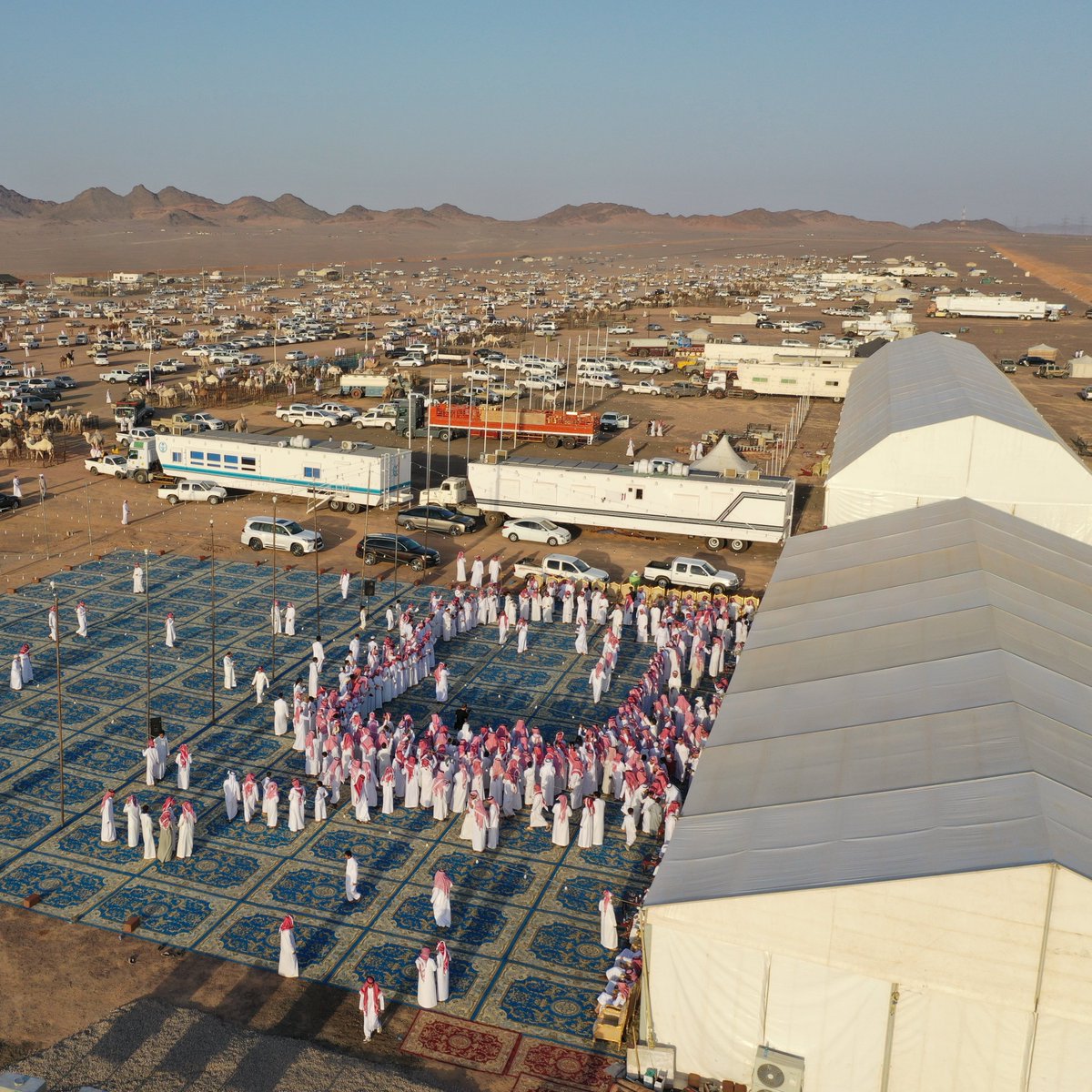 إمارة منطقة المدينة المنورة tweet media