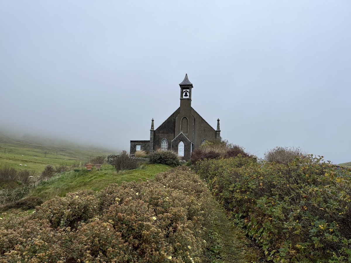 Colin Green (@greeny1955) on Twitter photo Day 9 on Shetland. Lot of mist today found it not easy going, but we did connect with a nice Rustic Bunting at Hoswick also a Sibe Chiffchaff (Tristis). Let’s see what tomorrow brings. Day 9 on Shetland. Lot of mist today found it not easy going, but we did connect with a nice Rustic Bunting at Hoswick also a Sibe Chiffchaff (Tristis). Let’s see what tomorrow brings.