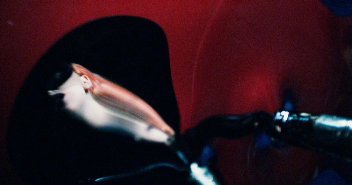 gagadaily's tweet image. Lady Gaga photographed by Steven Klein for her FAME fragrance (2012)