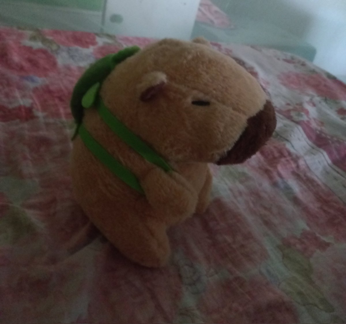 Asuno_Andre's tweet photo. Apreciem o meu filho, Afonso, que meu amor me deu https://t.co/T8cQMcLPOz