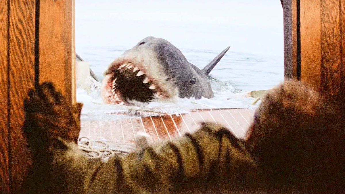 Here's to swimmin' with bow-legged women 💔