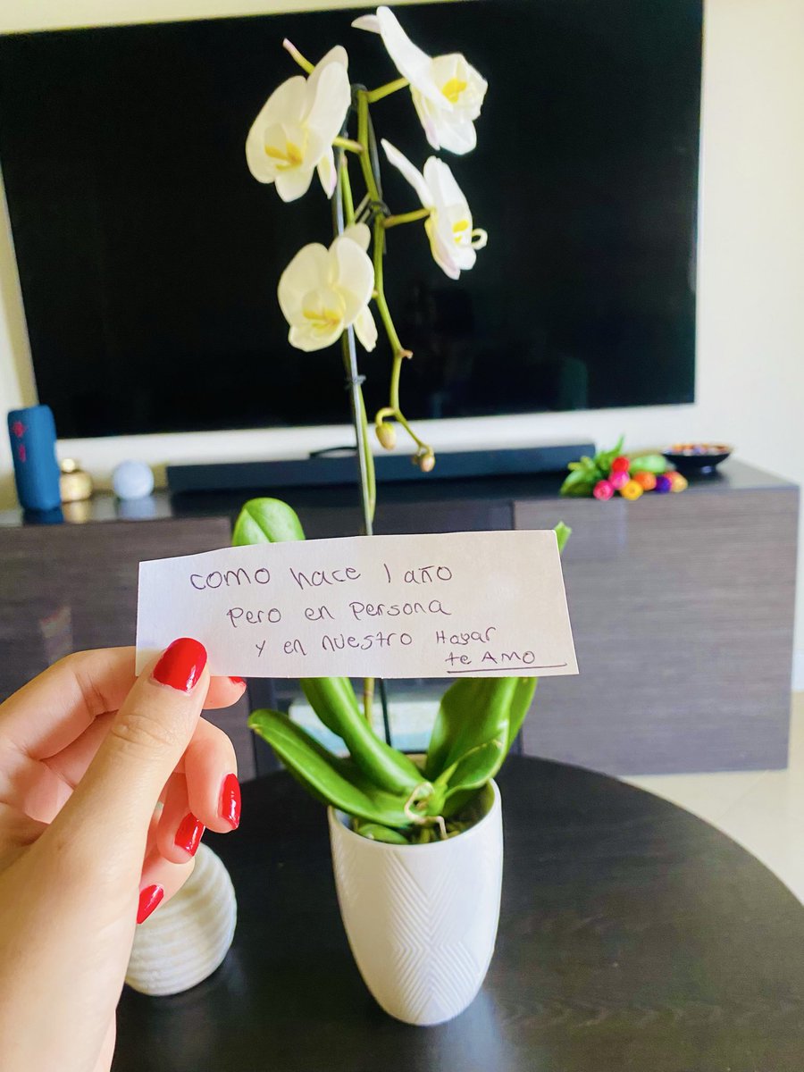 PerfectoOrgasmo's tweet photo. Hace un año el que en ese momento era mi amigo me envío una orquídea de cumpleaños y hoy siendo novios me sorprende nuevamente 💗🏡 https://t.co/uDpeYblics