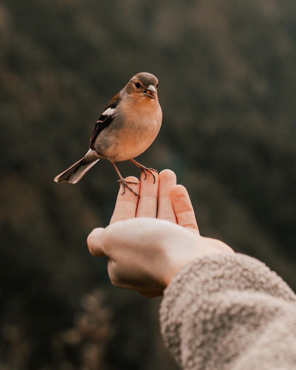 Be where your soul feels light.