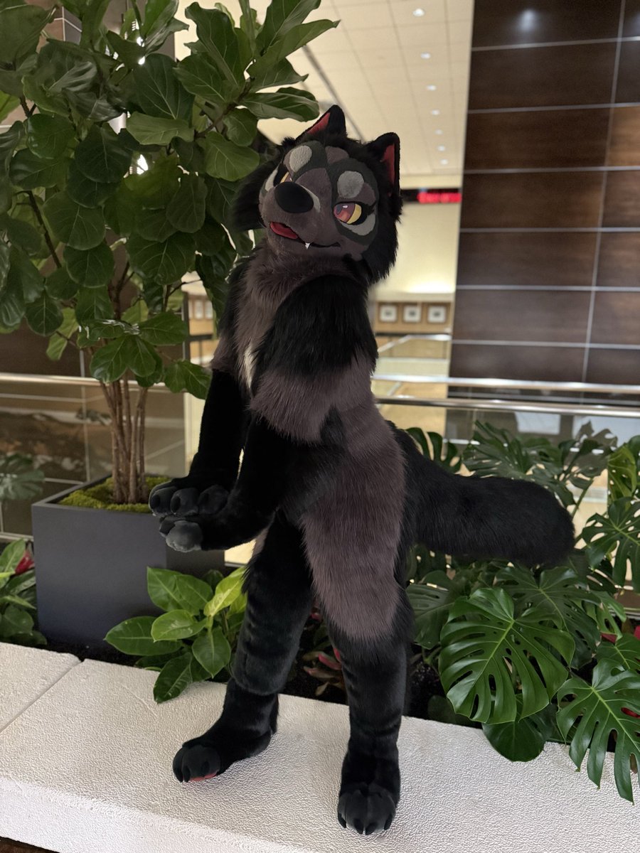 Woof woof woof! #FursuitFriday