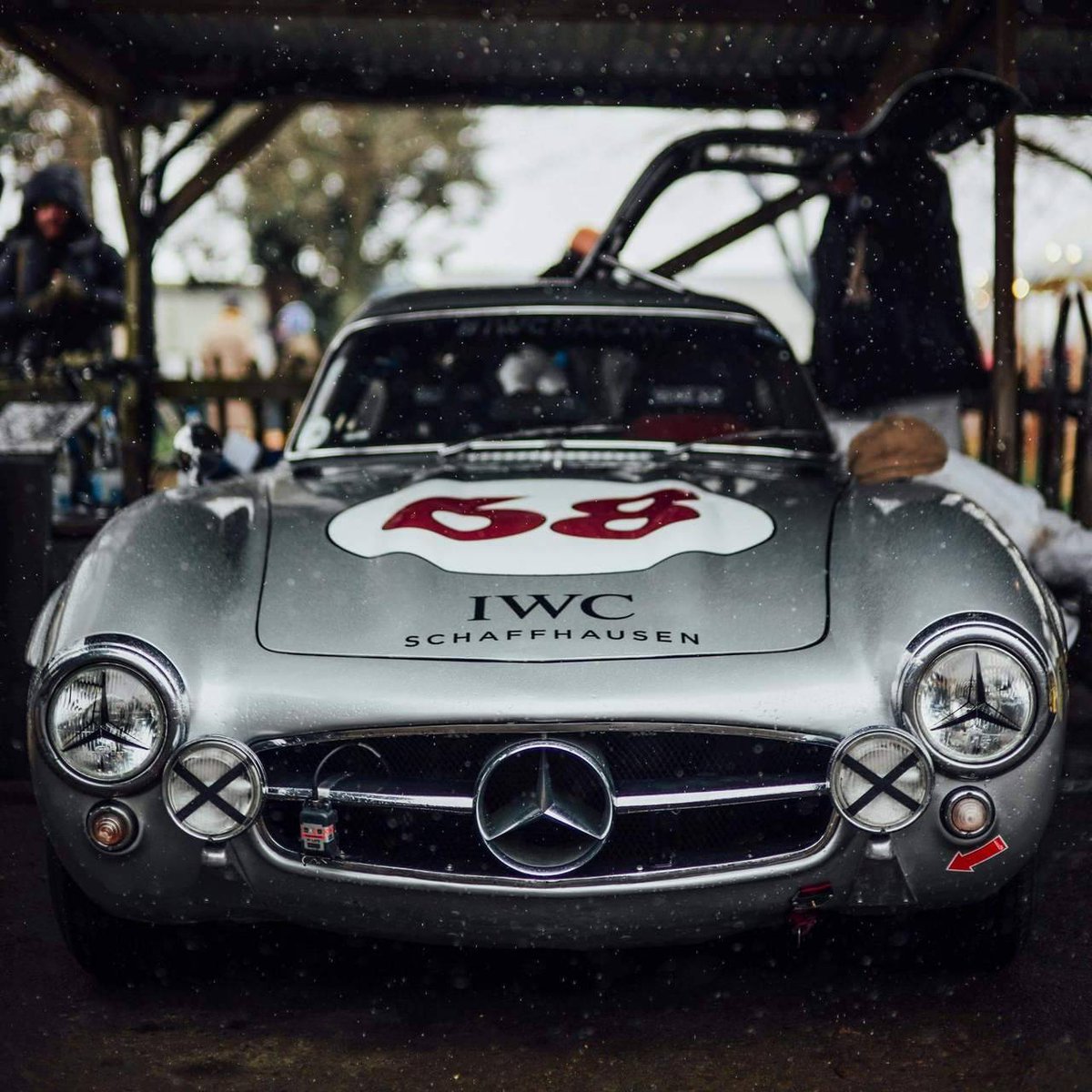🇩🇪 #Gullwing