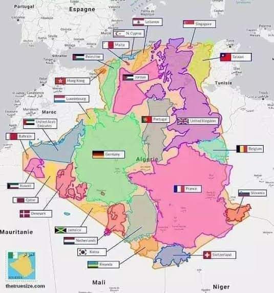cako417's tweet image. الرئيس لم يذكر أي بلد باسمه؟! ، وش الي ضايقك من كلامه ؟! 
وسياسة تبقى سياسة
وثانيا يا ليت كنت عدو للصهاينة بهذا شكل لكنا نفتخر بتغريدتك، لكن من طبعه فجور في خصومة يتقيئ ويتغوط من أدنى فرصة تتاح له
واخيرا كلمة دويلة عن وطني الجزائر عليك تستحي من ذكرها مع نفسك كيف بكتابتها