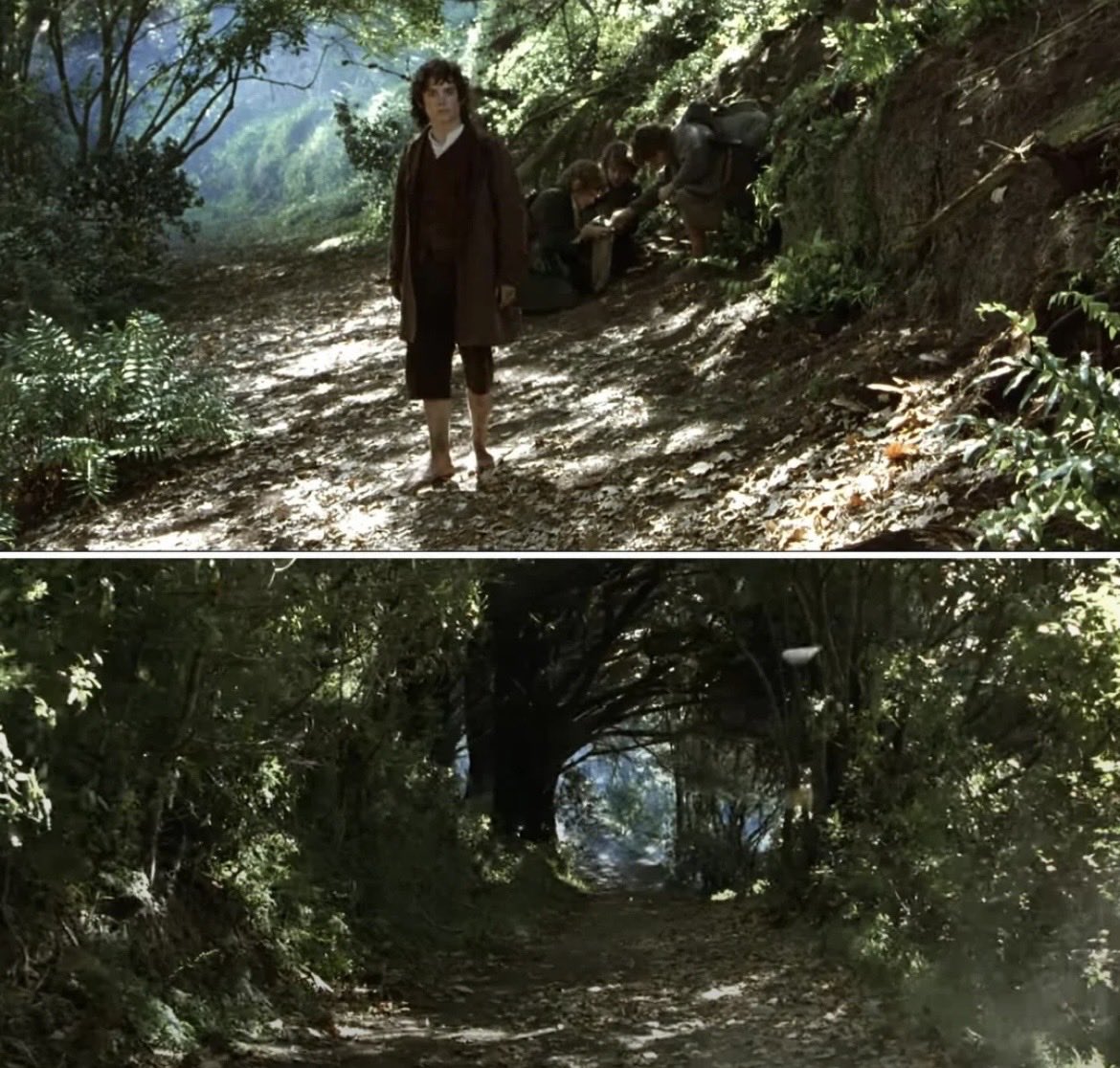 TolkienWorldG's tweet image. 26 years ago today on the 11th October 1999 LOTR began filming in NZ.

This was the very first shot.