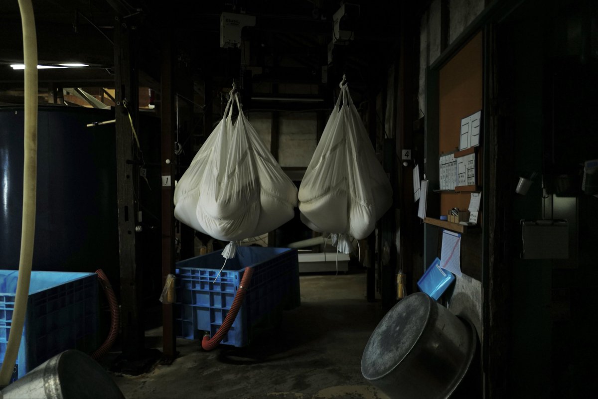 Kameizumi_Sake's tweet image. 令和7年醸造年度の酒造りが始まりました。皆さまに美味しいお酒を届けられるよう全力を尽くしてまいります。今季もよろしくお願いいたします。