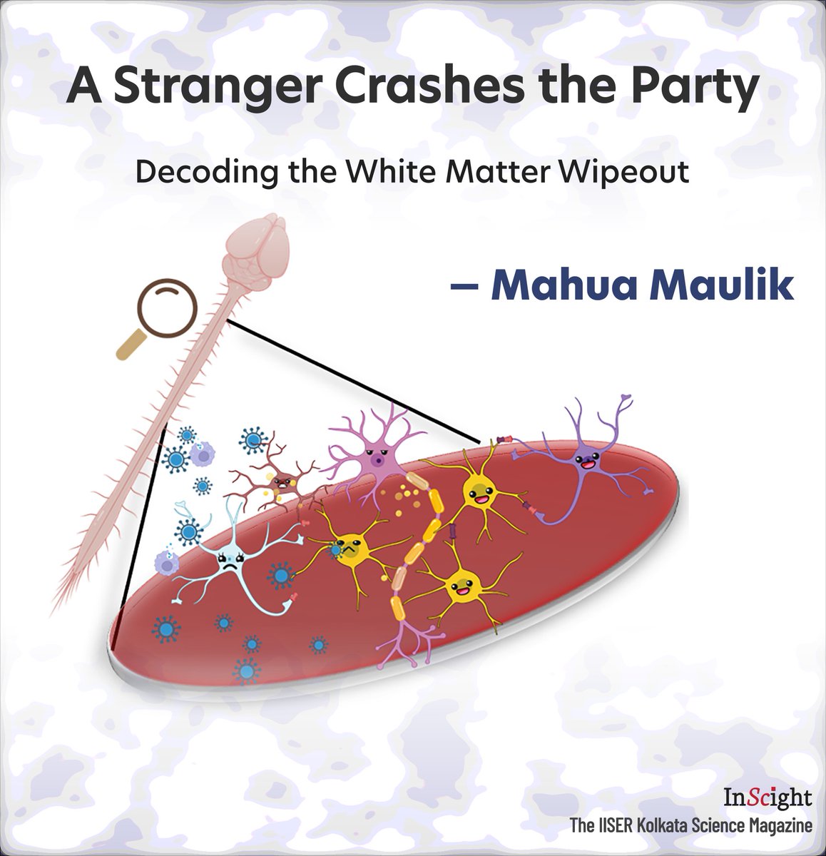 InScight tweet media