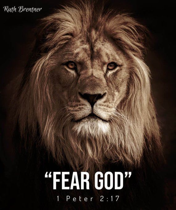 JesusSavesUs777's tweet image. 