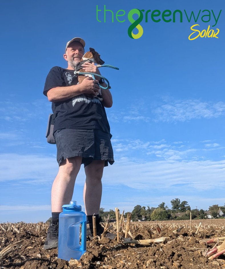 The Green Way Solar tweet media