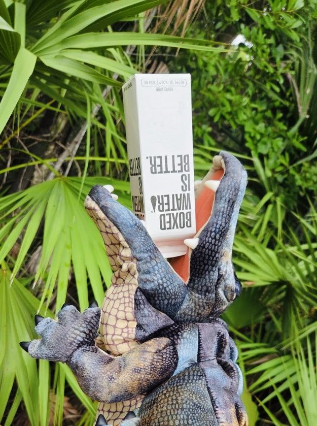 Boxed water for our planet!
I think this is a fantastic option!

#betterplanet !