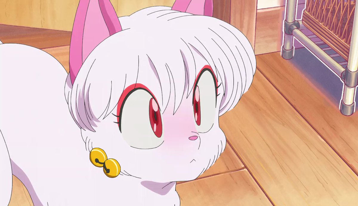 El hecho de que Rumiko hiciera a Shampoo convertirse en gato, justo después  de que estableciera que a Ranma le aterrorizan los gatos, es una  declaración de intenciones “No pienso dejarlos juntos”, image size:1200x692