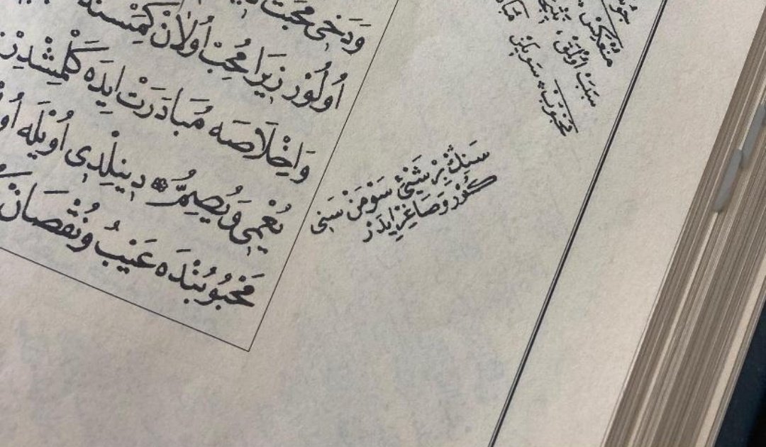 Senin bir şeyi sevmen, seni kör ve sağır eder...