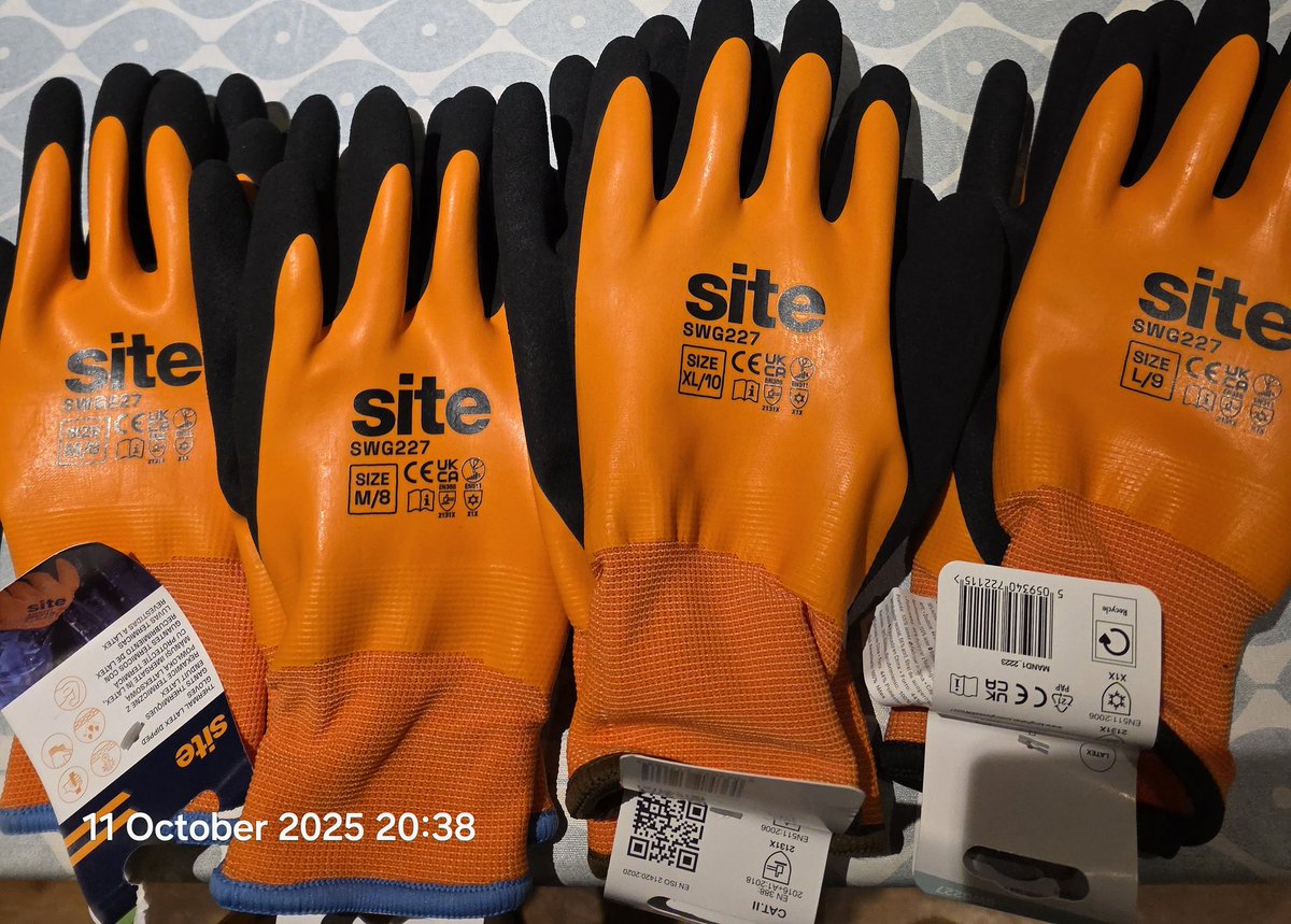 TsuiAllen's tweet image. Off for a family adventure mudlarking with @ThamesExplorer in the morning where we have been told to wear waterproof gloves so...
