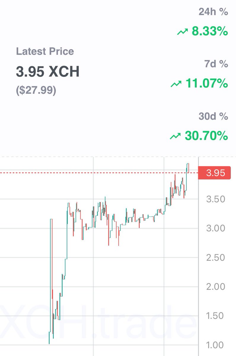aster_cast's tweet image. Good Morning 🌱🍊🧙‍♂️✨❤️‍🔥
Casters are thriving #Castober 
(XCH fire sale = good)