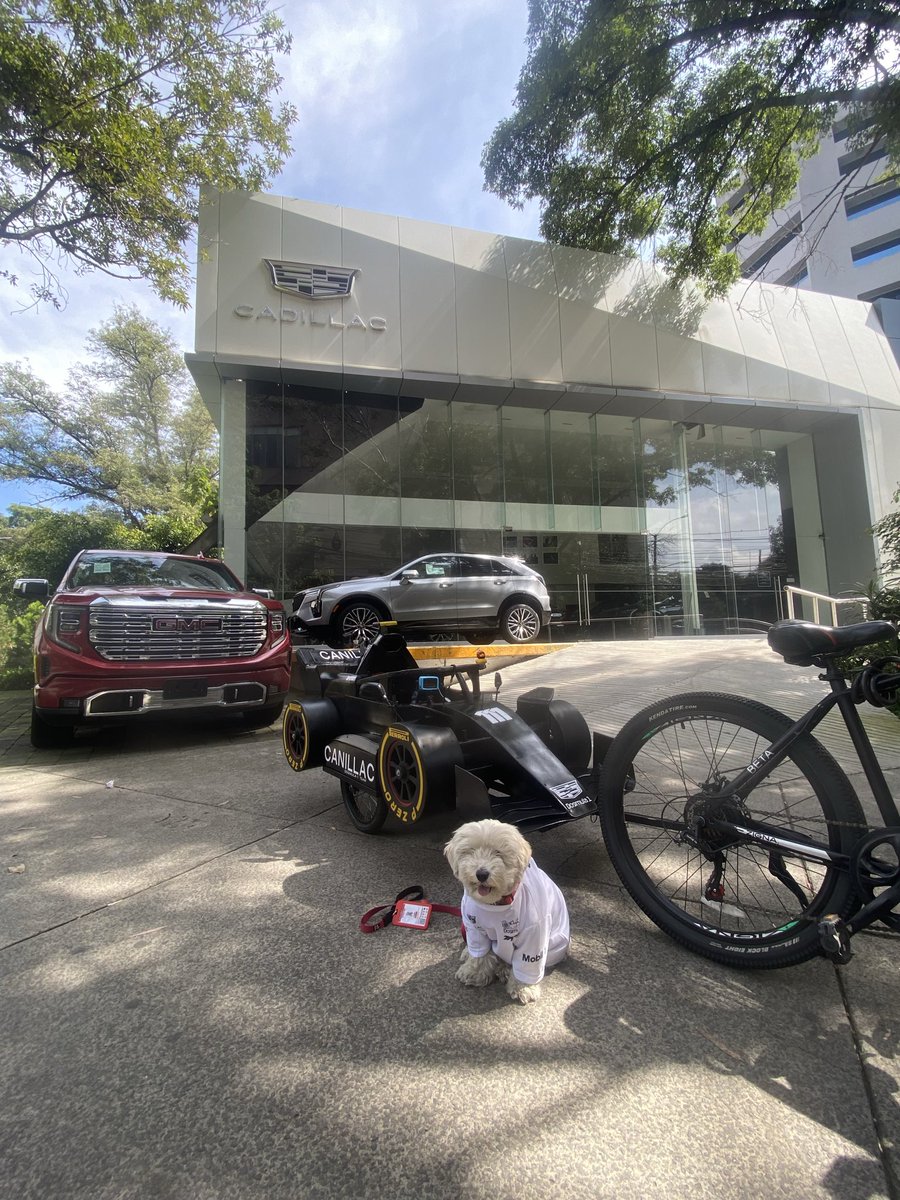 Dogmula 1 tweet media