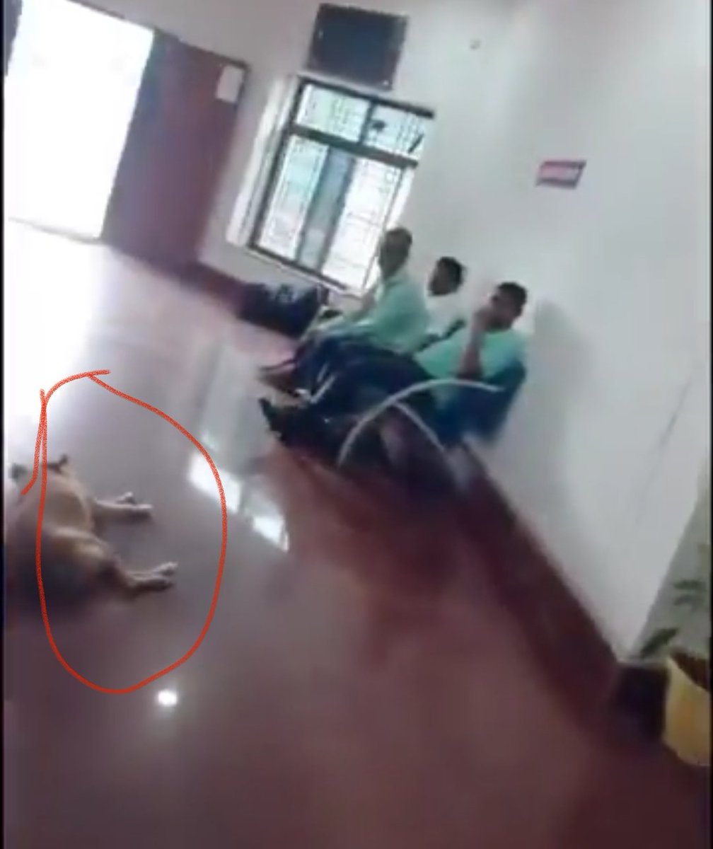 ये भ्रष्टाचार, पैसे की मांग तो ठीक है, लेकिन थाने के अंदर कुत्ता क्या कर रहा है <a href="/Jsr_police/">Jamshedpur Police</a>?
<a href="/JharkhandPolice/">Jharkhand Police</a> कुत्ते को किस जुर्म के तहत थाना हाजिर करवाया गया है?
<a href="/DCEastSinghbhum/">DC EastSinghbhum</a> <a href="/KunalSarangi/">Kunal Sarangi 🇮🇳</a> <a href="/HemantSorenJMM/">Hemant Soren</a> <a href="/JharkhandCMO/">Office of Chief Minister, Jharkhand</a> Pet Friendly Police Station, Burmamines 🫡