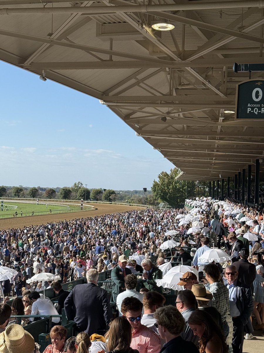 marondem's tweet image. How good is this? @keeneland @keenelandsales
