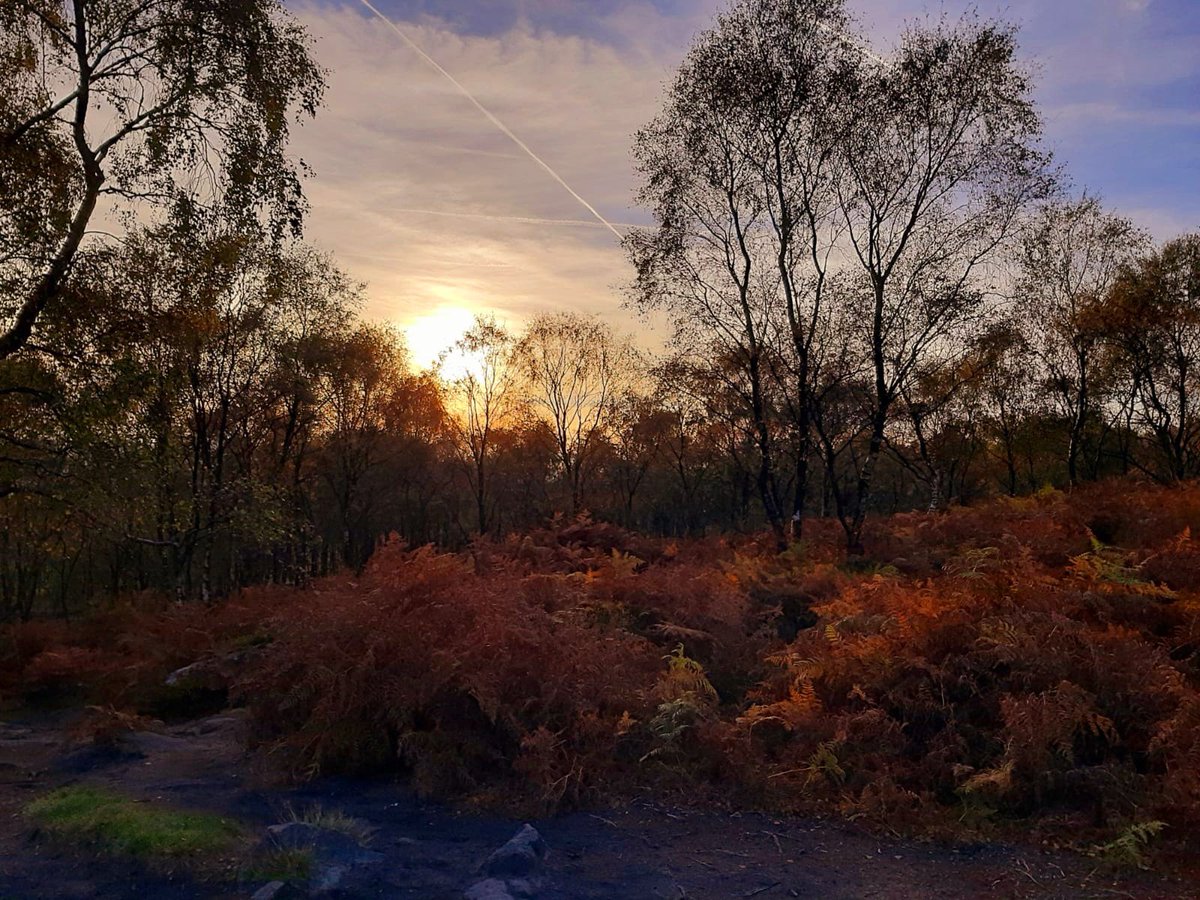 Abtisam Mohamed tweet media