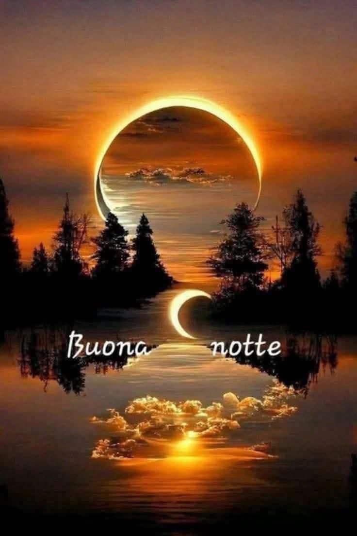 RITABIANCHi56 tweet media