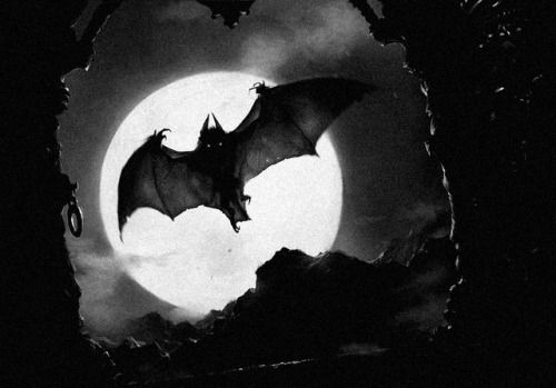thornsandravens's tweet photo. vampirism. https://t.co/b2M4MkM8ji