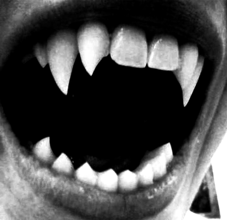 thornsandravens's tweet photo. vampirism. https://t.co/b2M4MkM8ji
