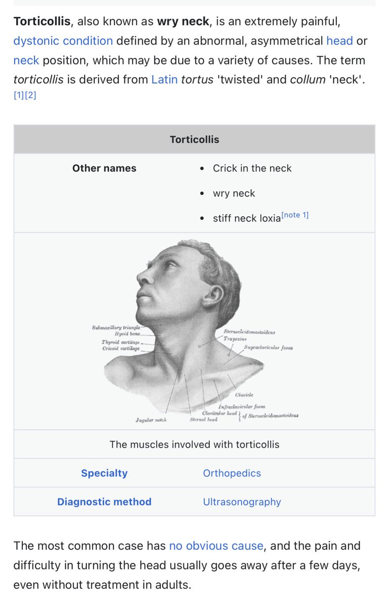 Mikael Brockman tweet media