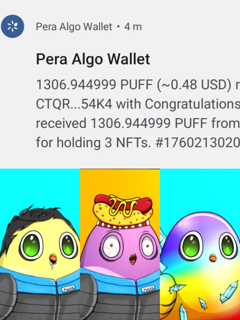 MrPresidentAlgo's tweet image. No matter what happens the drop keeps going.
@Ghettopigeons
@PigeonPuffs you are amazing.
#algofam What are you waiting for, a cute PUFF is waiting for you.
👇👇👇
market.ghettopigeon.com/shuffles/68ba9…