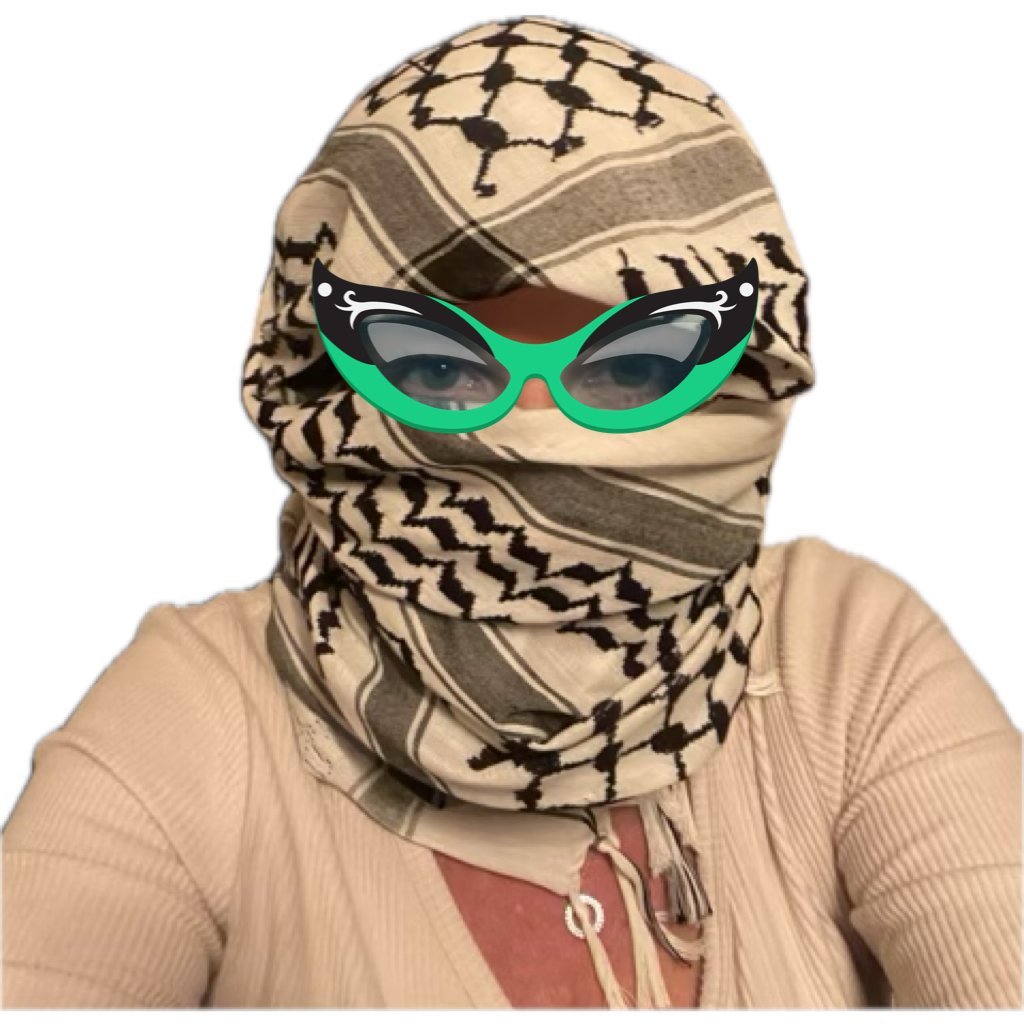 For sale, not-so-gently used tea towel. No longer needed, “Falasteen” is freeeee