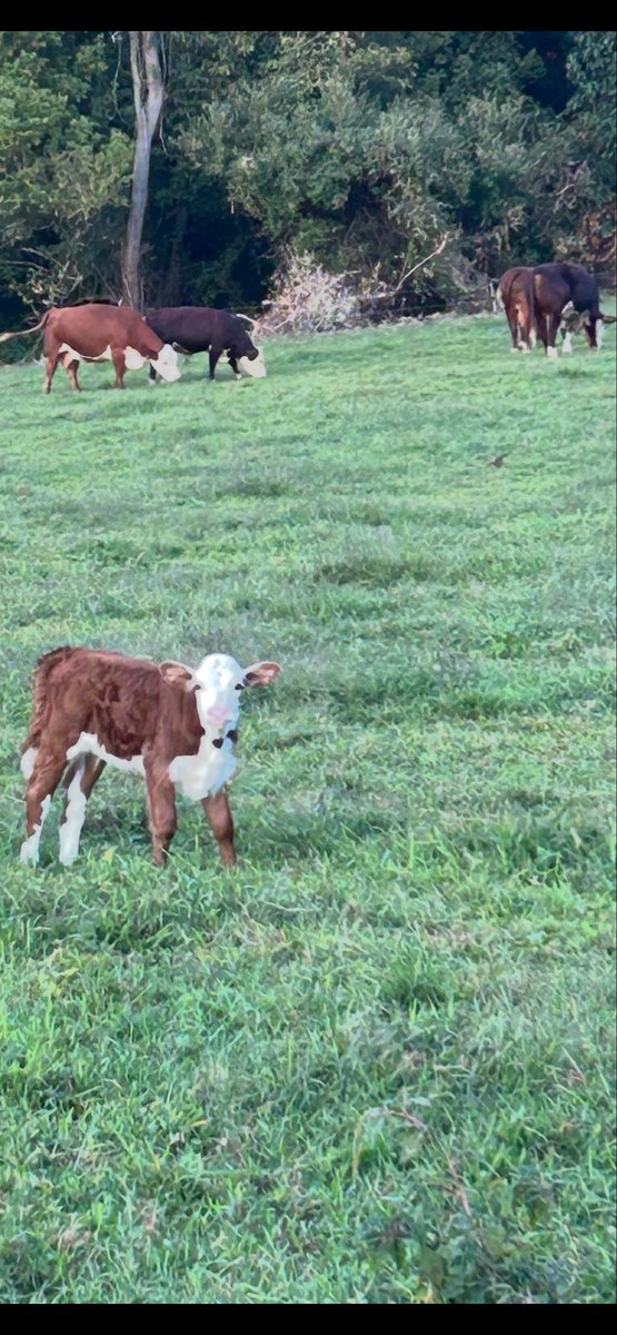 Brian Heher (@brianbheher) on Twitter photo 