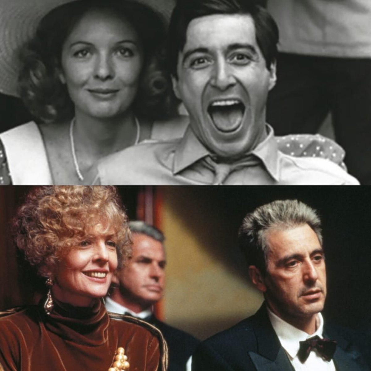 Diane Cappetta\, image size:1200x1200