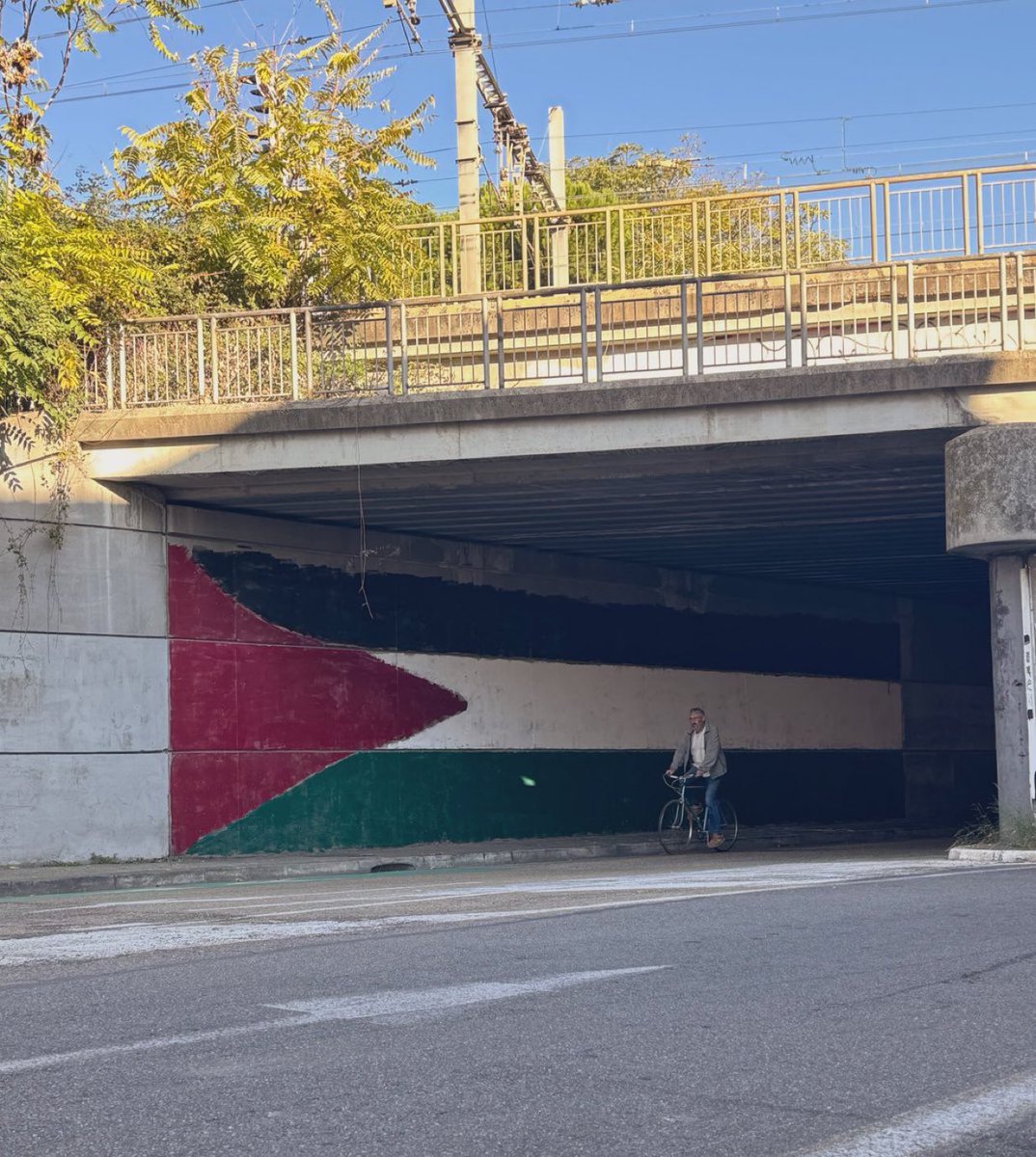 Beautiful ❤️🇵🇸